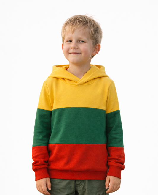 Trispalvis vaikiškas džemperis  su kapišonu
